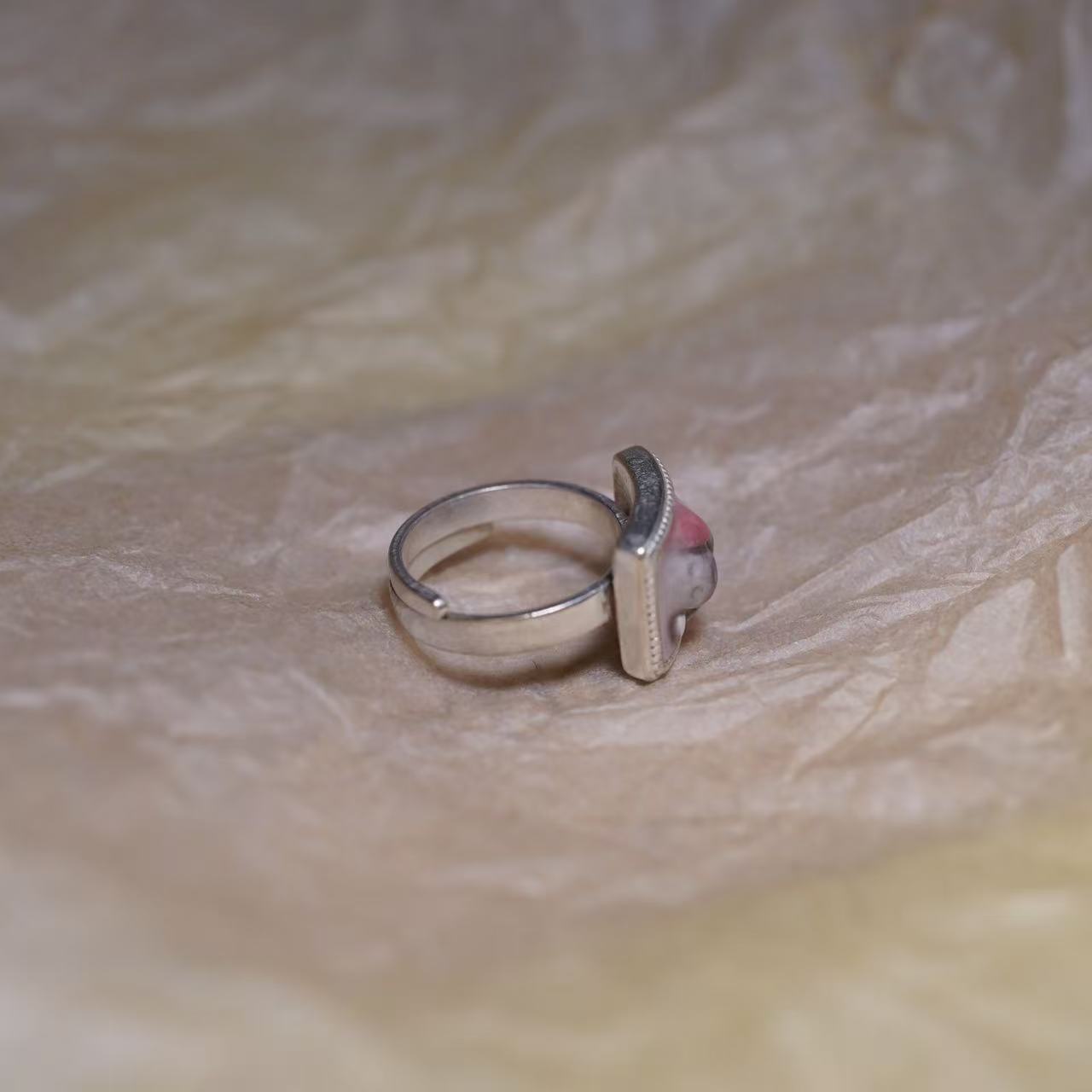 Gray Kitten Mouth Ring