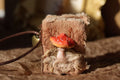 Felted Wool Fairy Book