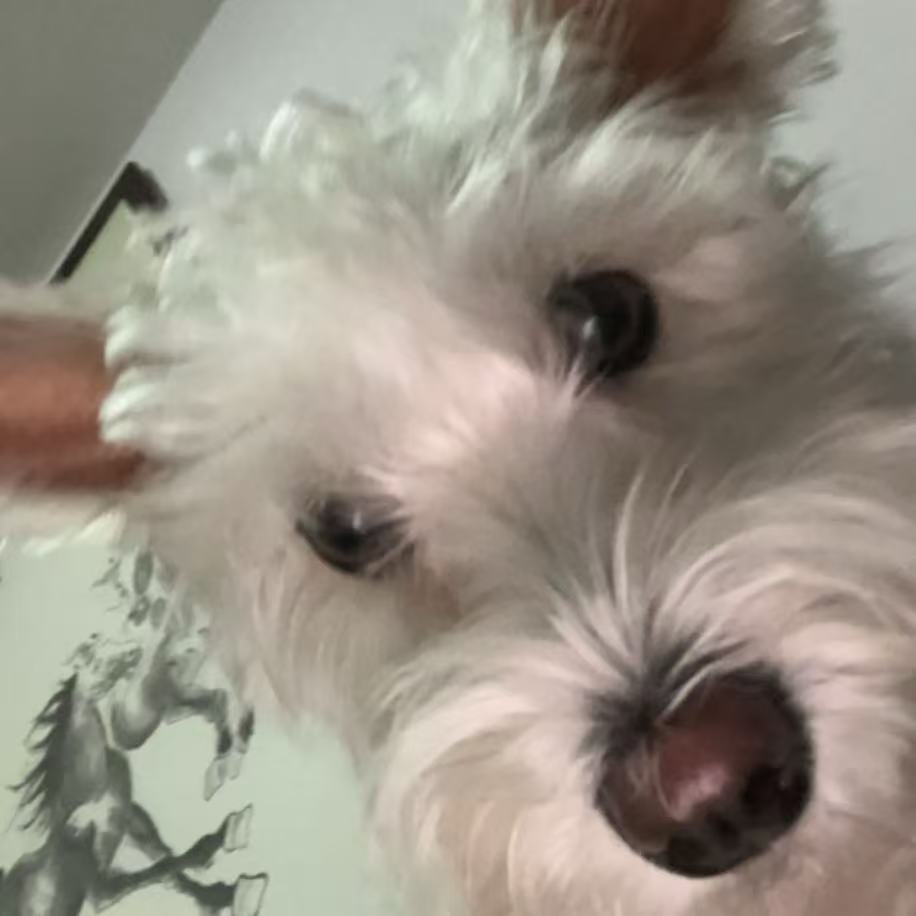 Meimei. Lucky. Clingy. Long Ear. Cai