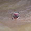 Gray Kitten Mouth Ring