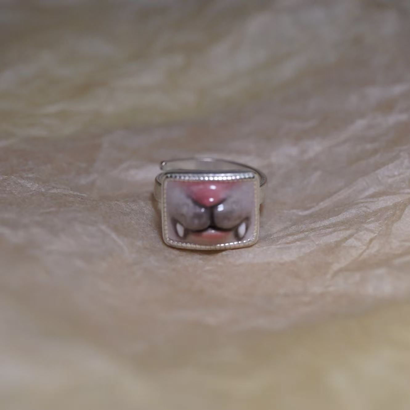 Gray Kitten Mouth Ring